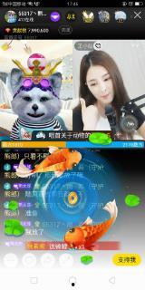 3熊太郎在线视频,揭秘熊界传奇，探寻自然与生命的奥秘