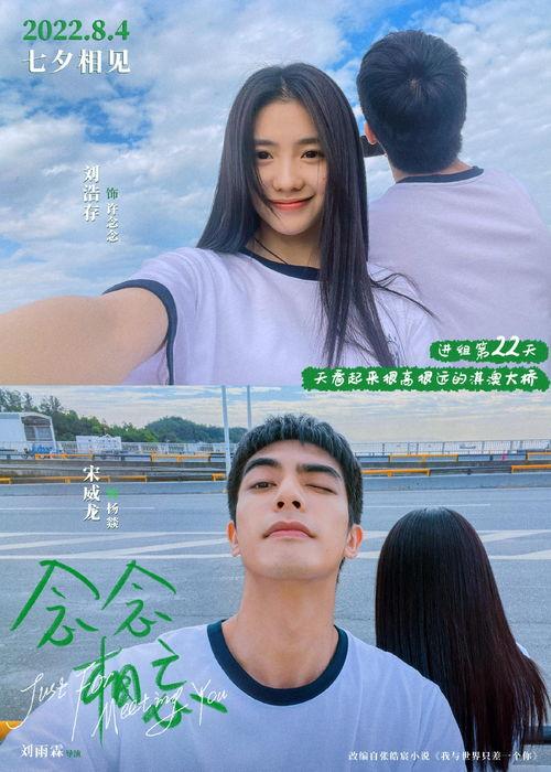 念念相忘在线视频播放,一场跨越时空的深情邂逅