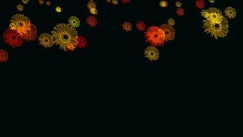 漂花HD在线视频,沉浸式视觉盛宴，带你领略绝美风景