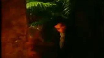 黑夜在线视频 5566,揭秘5566在线视频的神秘世界