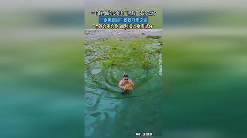 断崖在线视频观看,揭秘神秘断崖的惊险与壮美