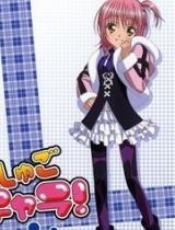 0877在线视频合集,精彩纷呈的视听盛宴