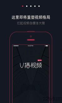 bd 手机在线视频观看  第3张