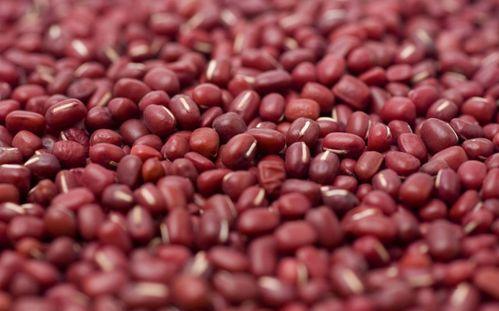 红豆绿豆在线视频